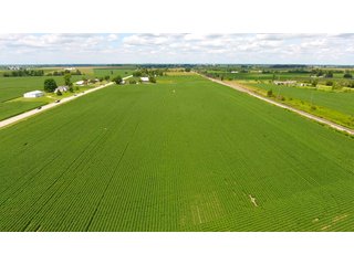 Property photo 6 - LAND AUCTION - 84+/- ACRES IN RUSH COUNTY, INDIANA